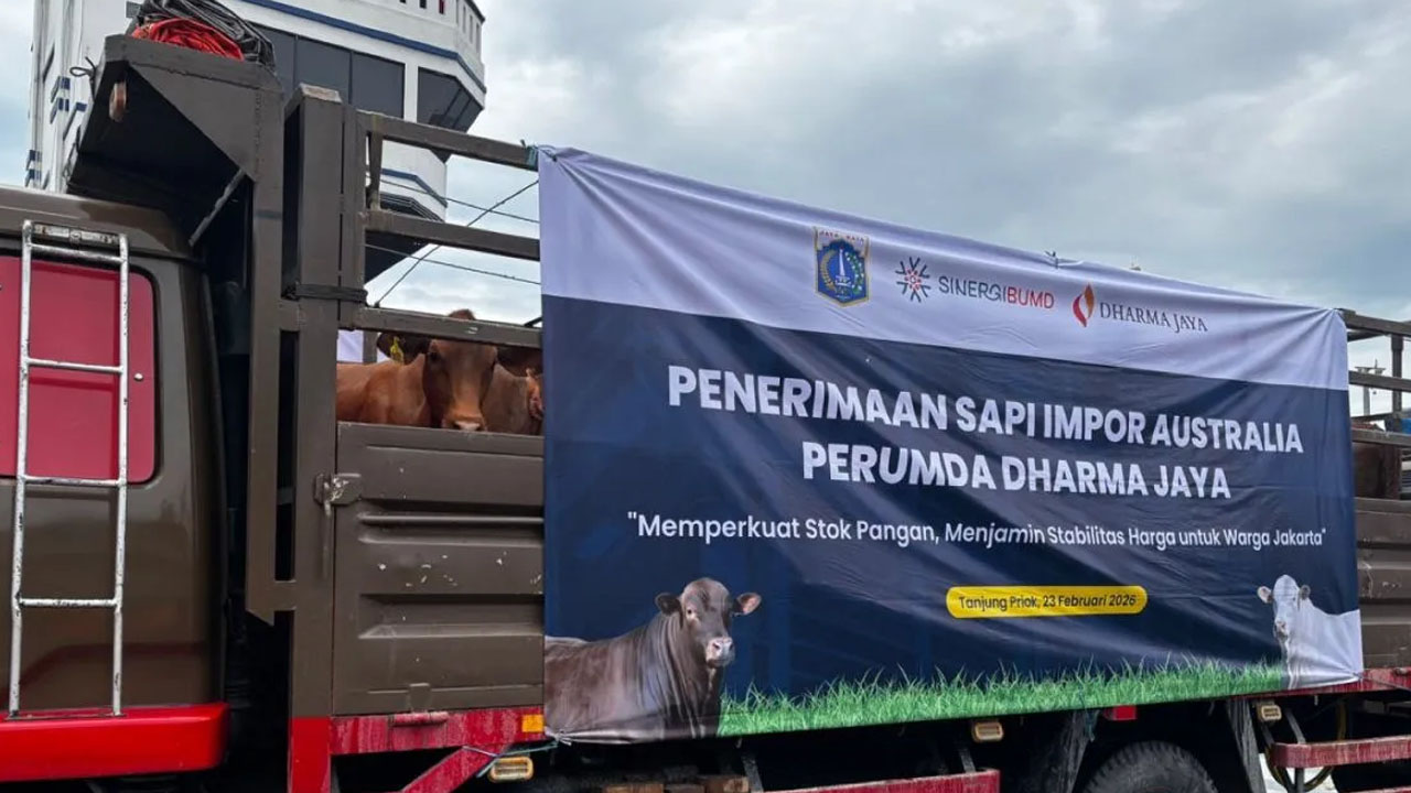 Tekan Inflasi, Jakarta Terima 3.100 Ekor Sapi Impor dari Australia