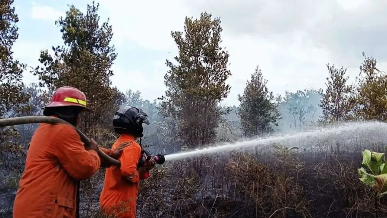 Disdamkarmat Natuna Berhasil Padamkan Kebakaran Lahan Seluas 10 Hektare